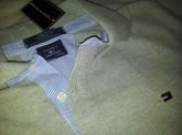 Polo TOMMY